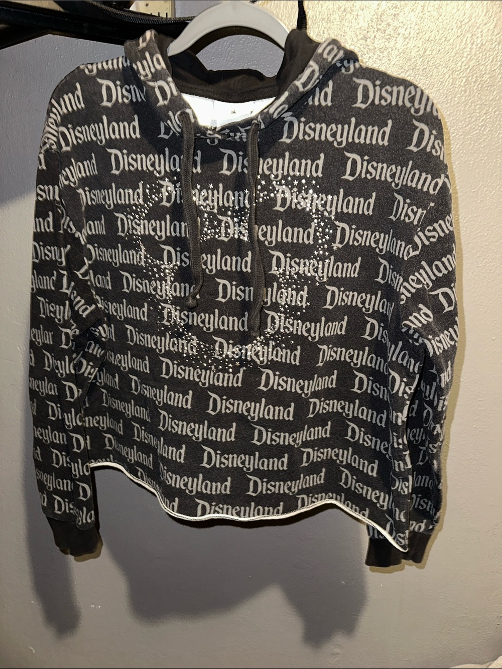 Disney Black and White Disneyland Logo Pullover Hoodie